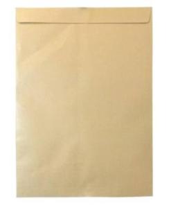 Brown Envelopes(11*5)